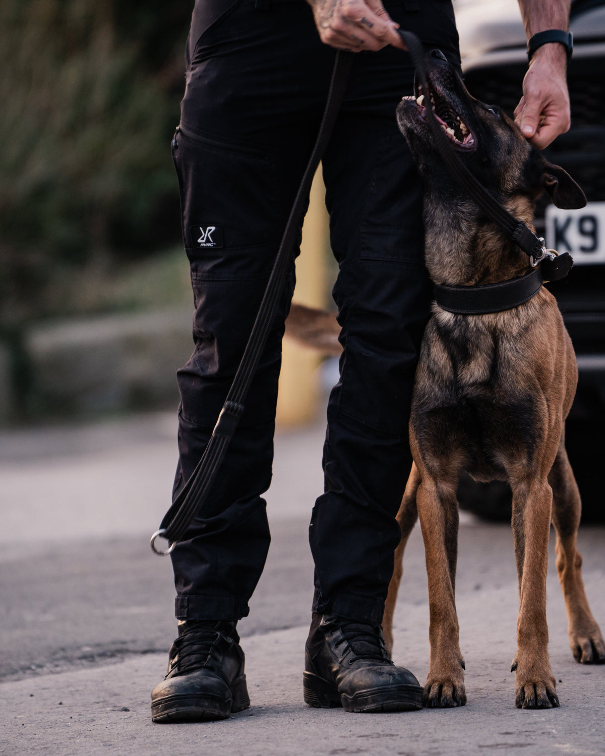 The Role of Security Dog Teams in Construction Site Protection