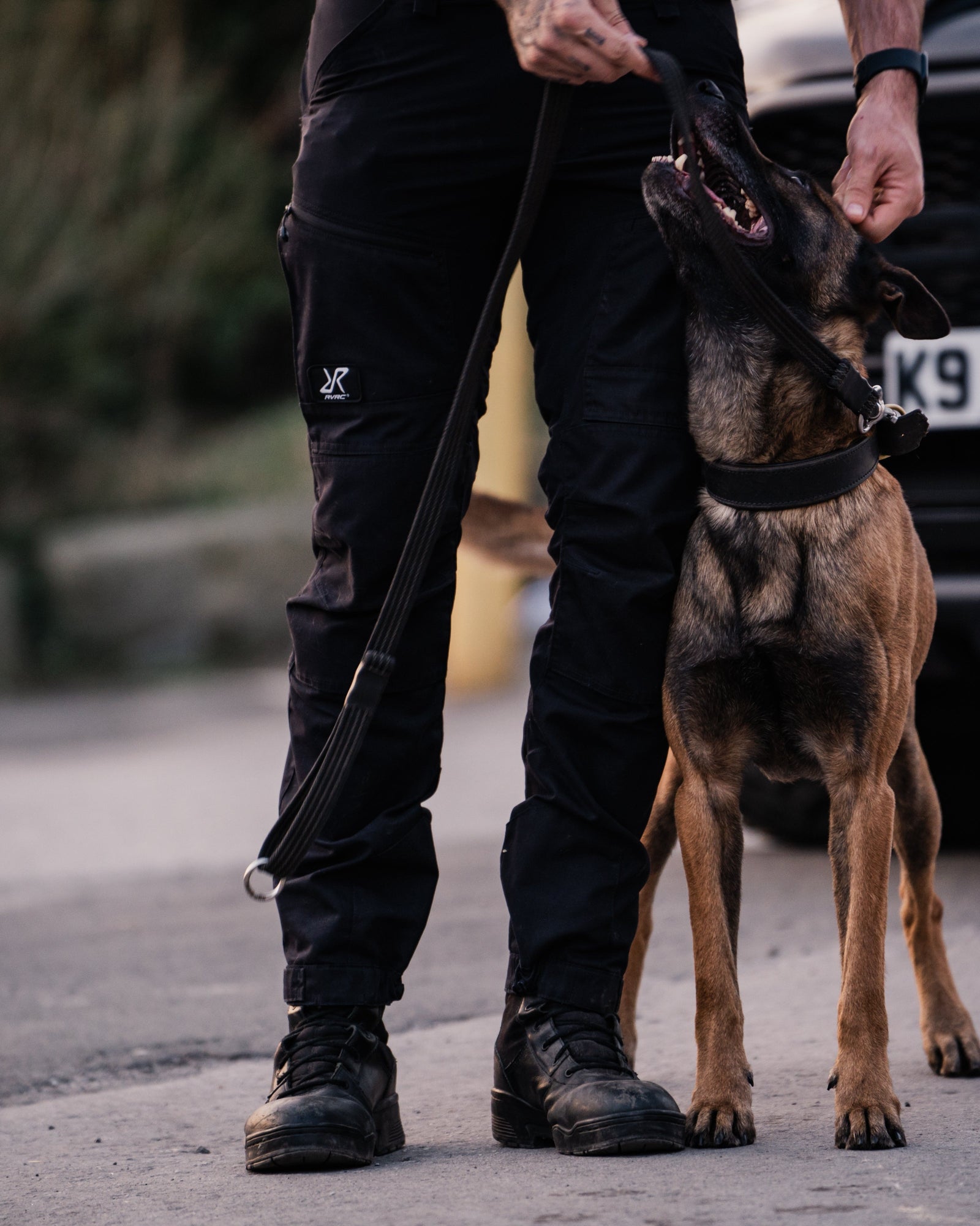 The Role of Security Dog Teams in Construction Site Protection