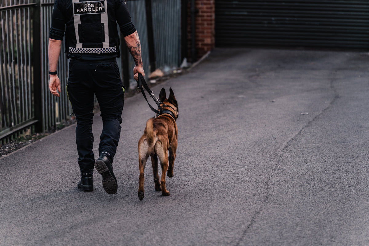 Why K9 Security Is More Effective Than Static Guarding Alone