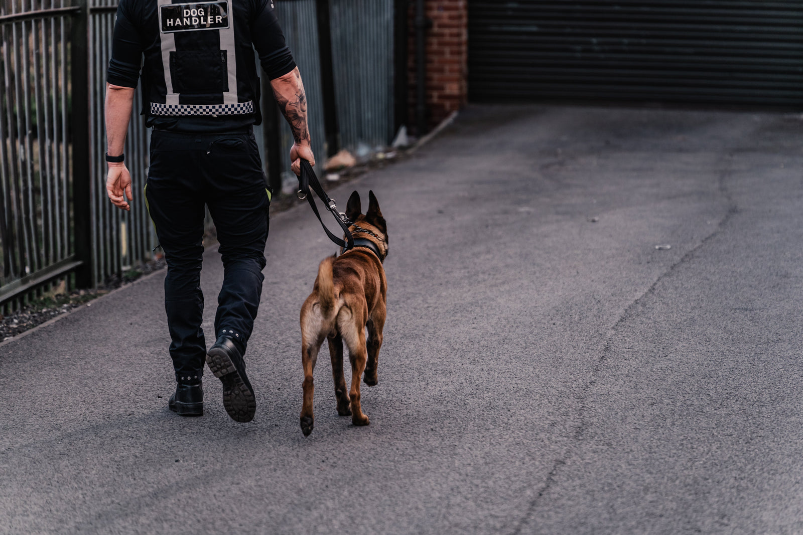 Why K9 Security Is More Effective Than Static Guarding Alone