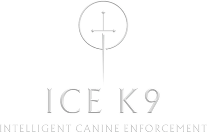 K9 Security