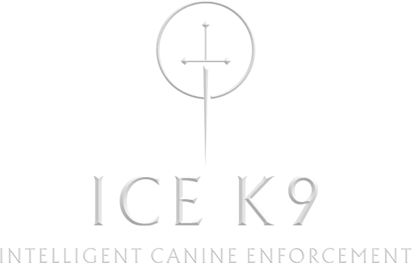 ICE K9