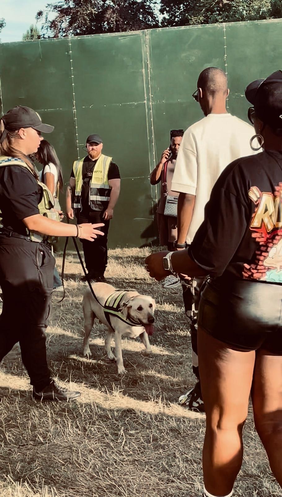 Detection Dog Services